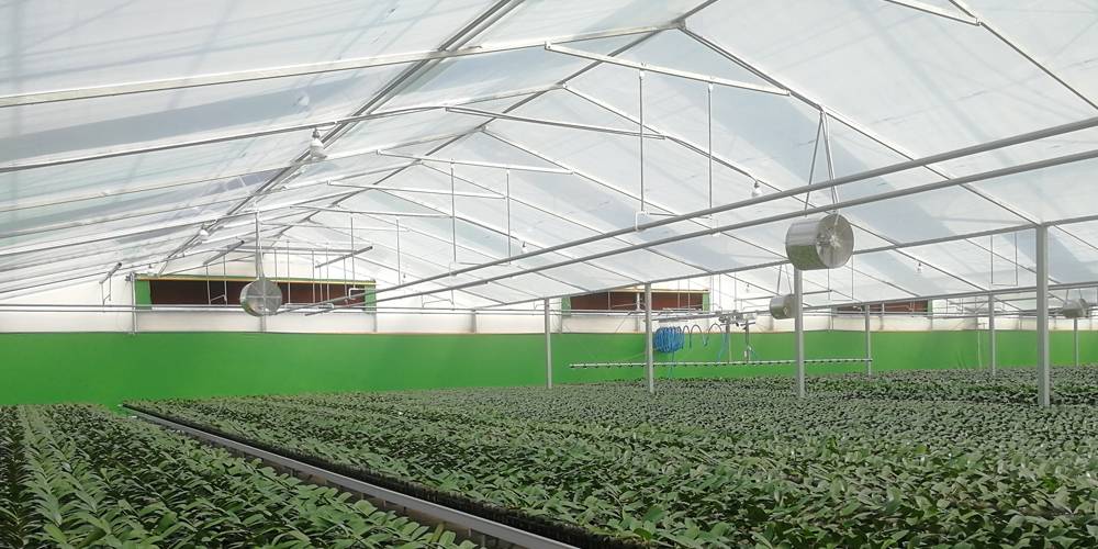 seed beds for planting