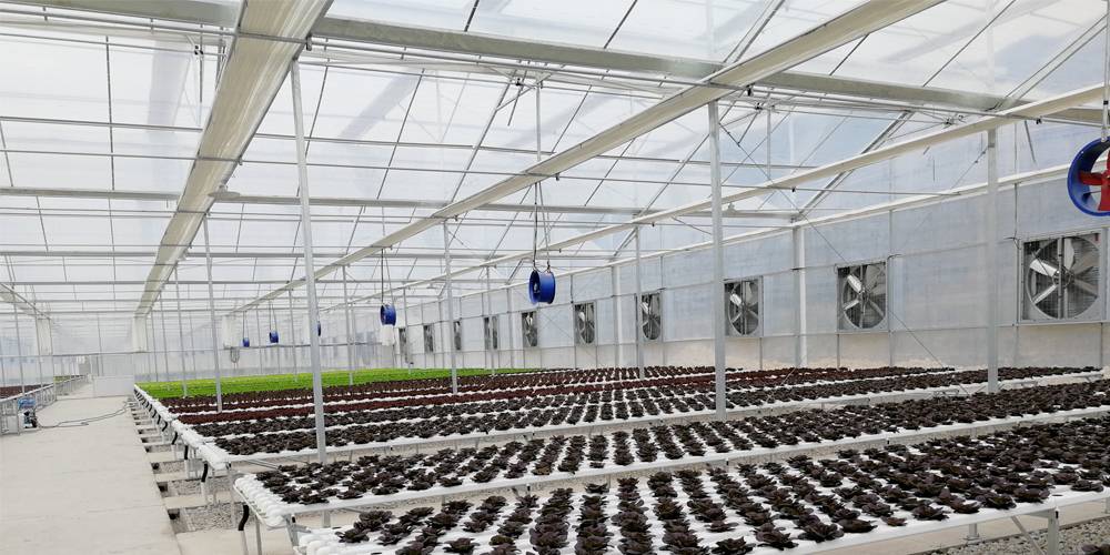 hydroponic vegetable garden indoor hydroponic vegetable garden indoor