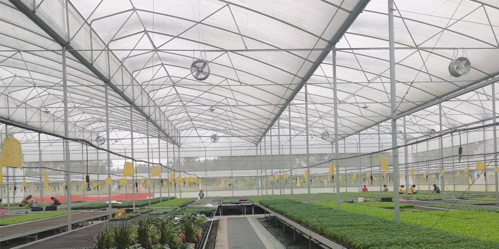 lettuce grow farmstand lettuce grow farmstand