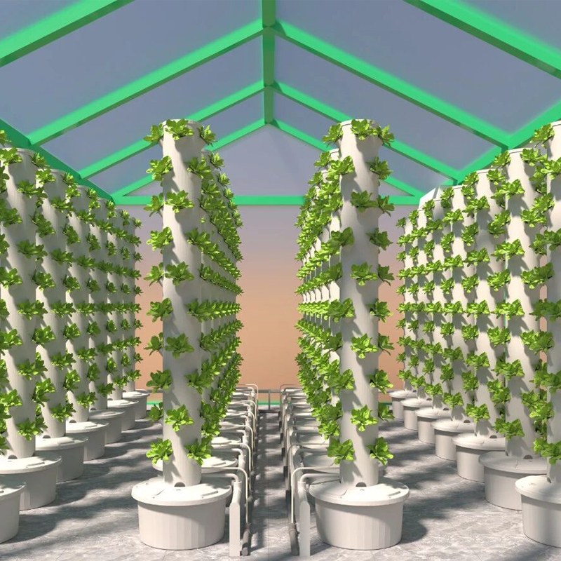 Design of Stacked Hydroponic Racks