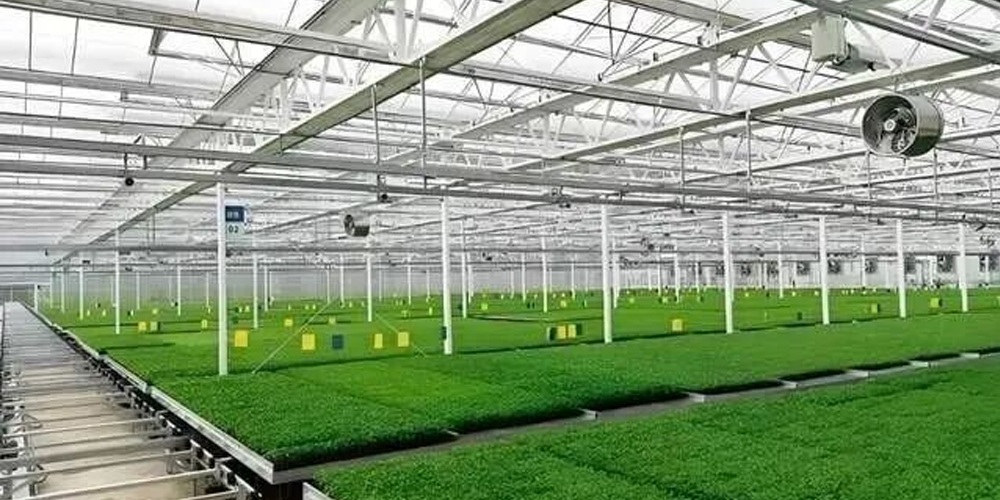 polytunnel plastic polytunnel plastic