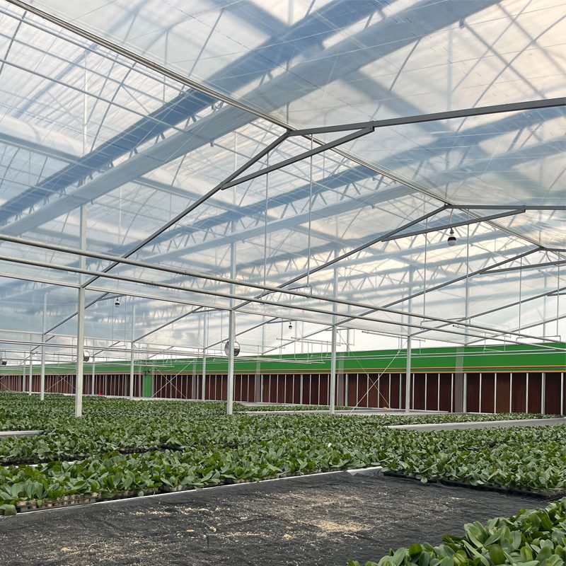 Conventional Greenhouses vs. Smart Greenhouses