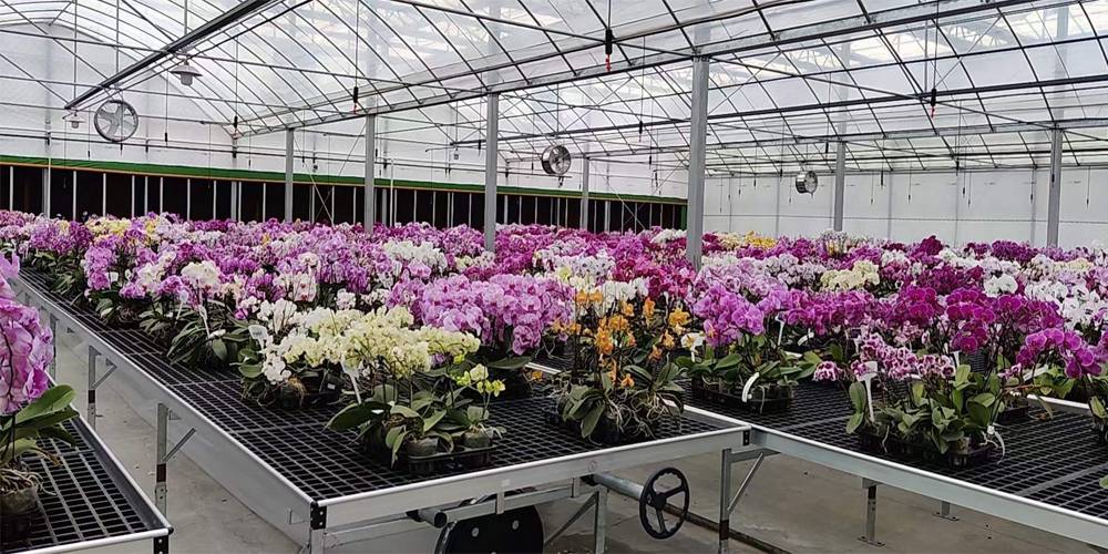 greenhouse circulation fans greenhouse circulation fans