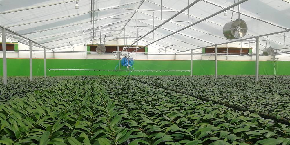 plastic greenhouse plastic greenhouse