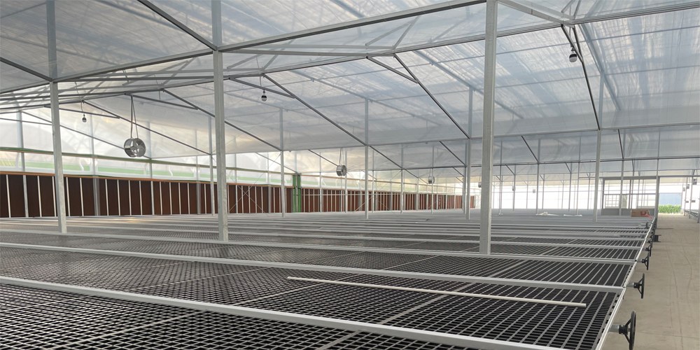 building a plastic greenhouse