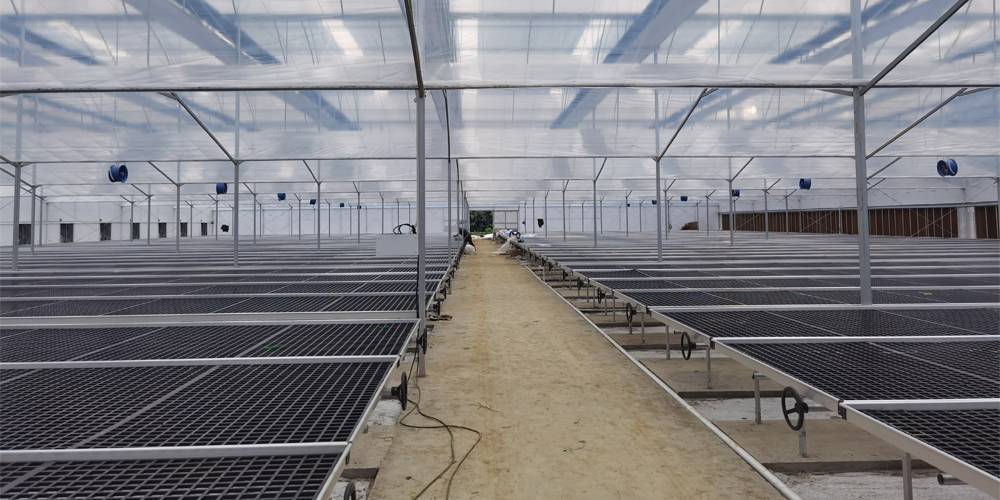 building a plastic greenhouse