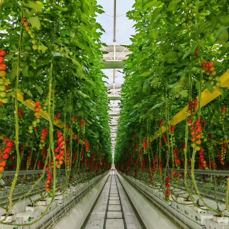 A Complete Analysis of System Setup and Maintenance Costs