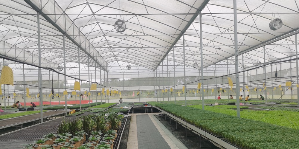 ebb and flow hydroponic system