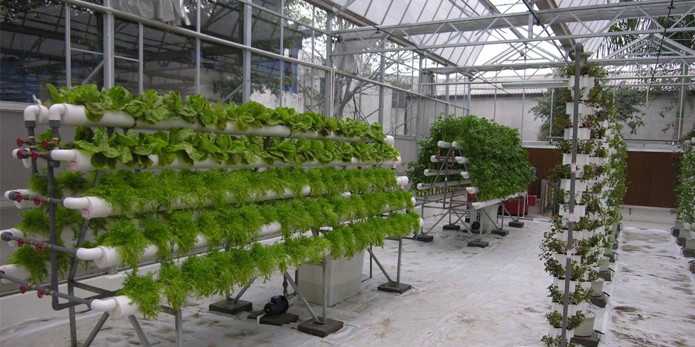 ebb and flow grow system