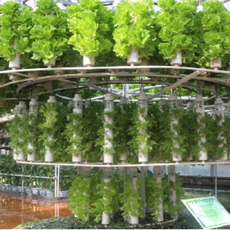 AI Ushers in a New Era of Automated Planting in Plastic Greenhouses