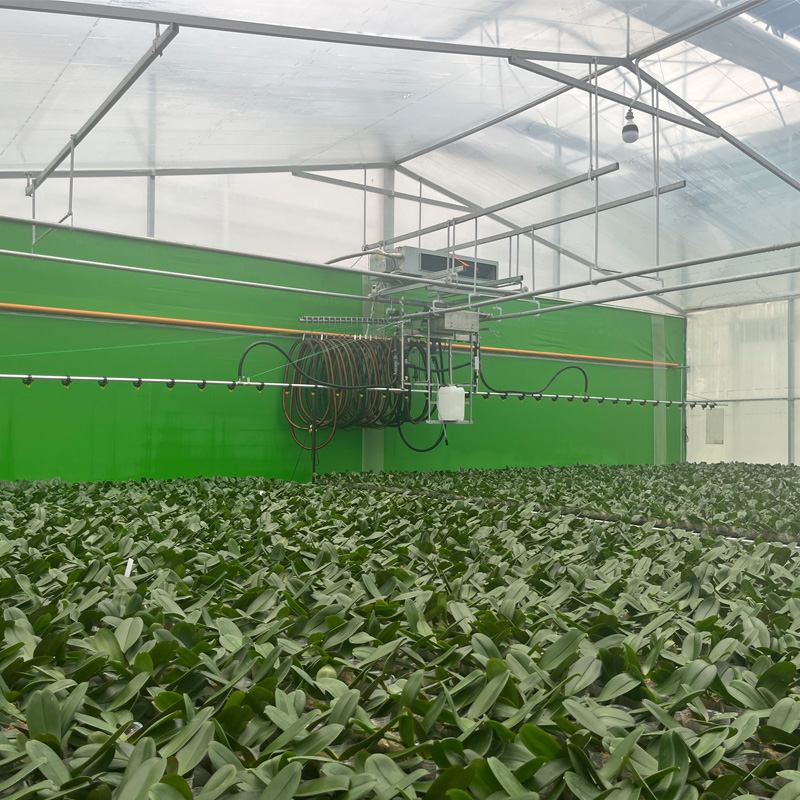 Greenhouse Irrigation for Phalaenopsis: A Practical Comparison between Drip Irrigation and Mist Irrigation