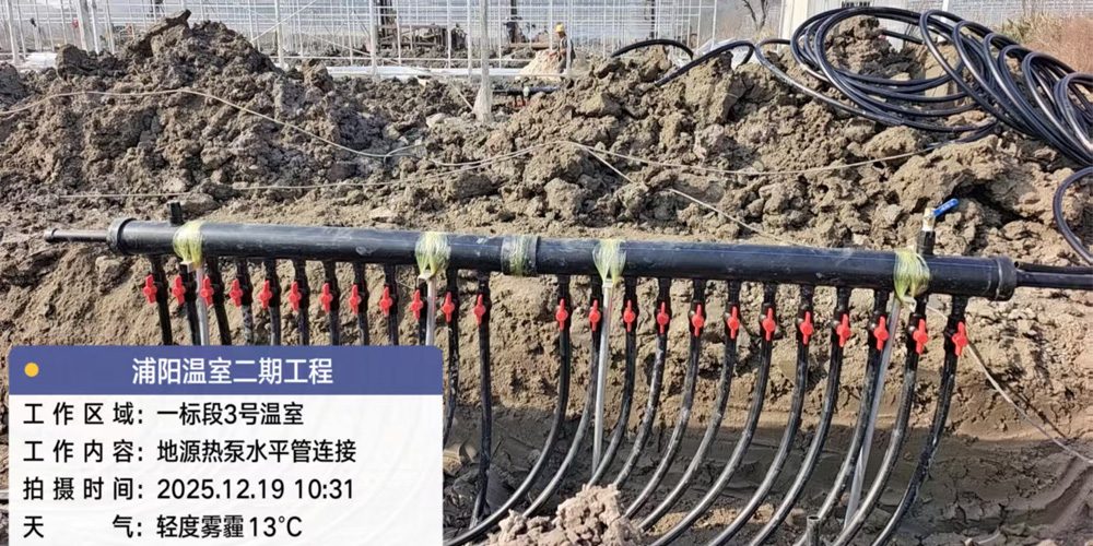 plastic polytunnel greenhouse