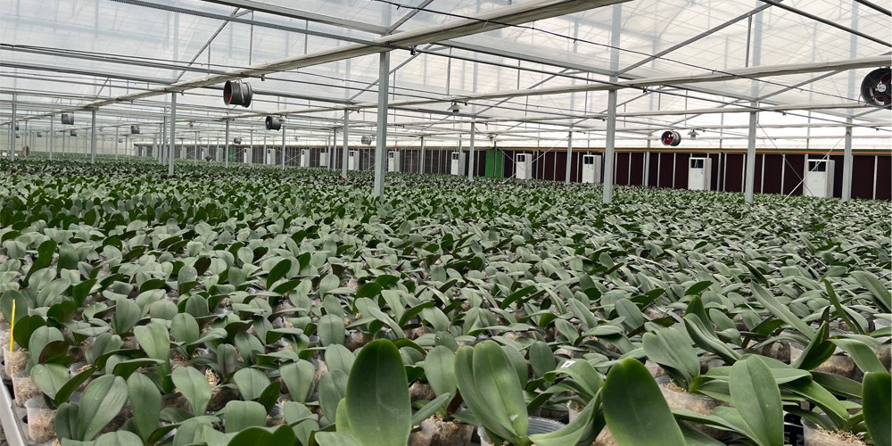 electrical control cabinet