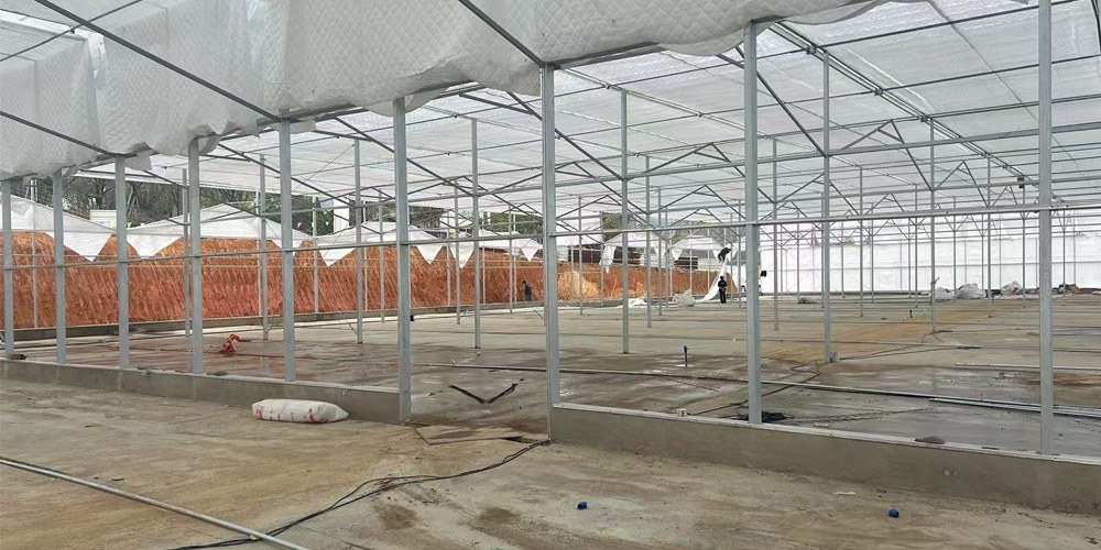 greenhouse circulation fans