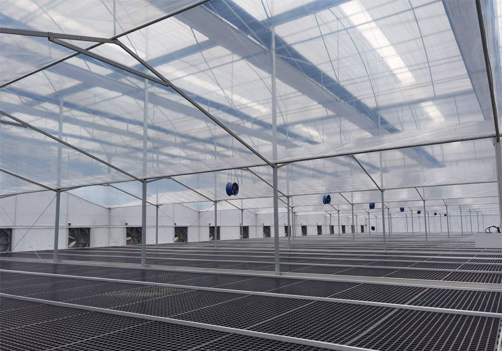 greenhouse made of plastic