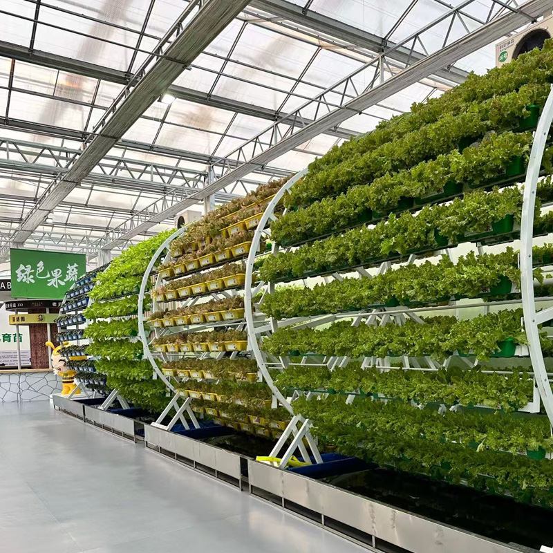 From Seeding to Harvesting: An Integrated Automation Equipment Solution for Hydroponic Leafy Vegetables in Greenhouses