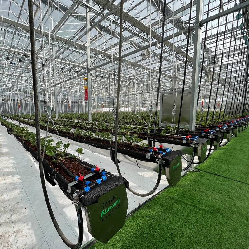 More Crops per Drop: How Hydroponic Greenhouses Maximize Resource Efficiency