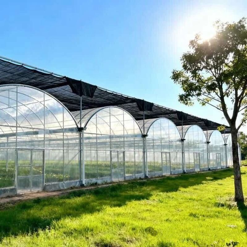 Unstoppable by Wind or Rain, Bountiful in All Seasons – The Hard-Core Stable Production Capability of Hydroponic Greenhouses