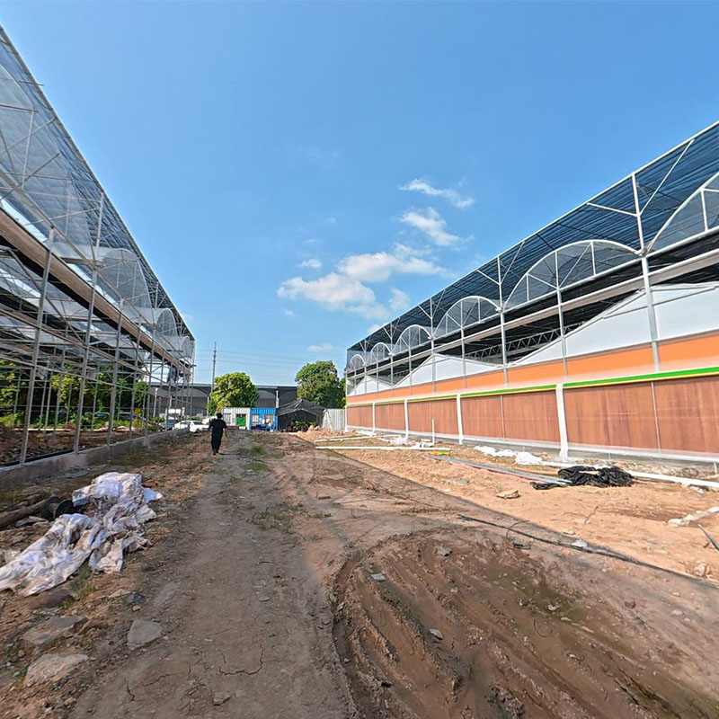 Plastic Greenhouse: A Cost-Effective Choice for Modern Agricultural Facilities