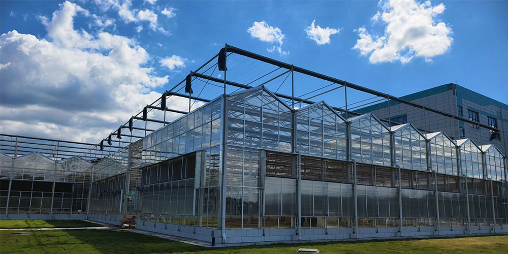 glass greenhouse glass greenhouse