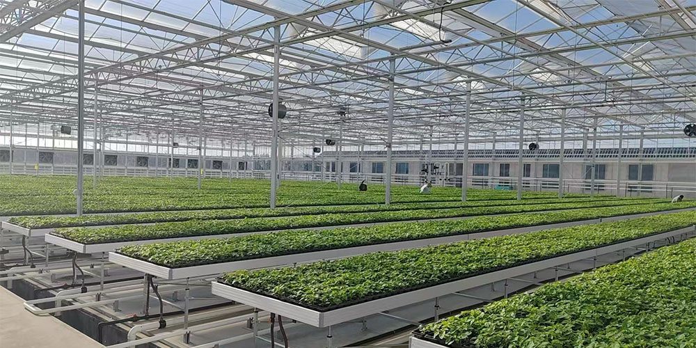 modern glass greenhouse modern glass greenhouse