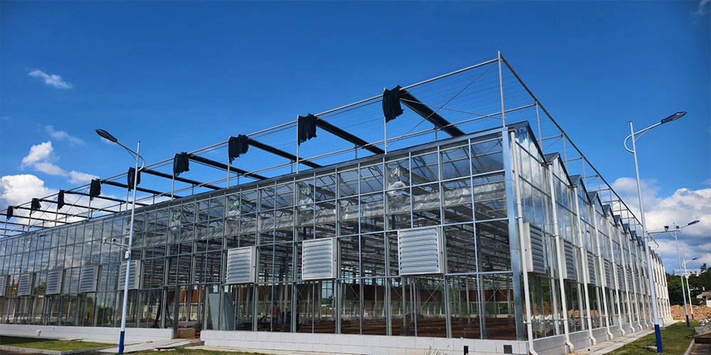 large glass greenhouse large glass greenhouse