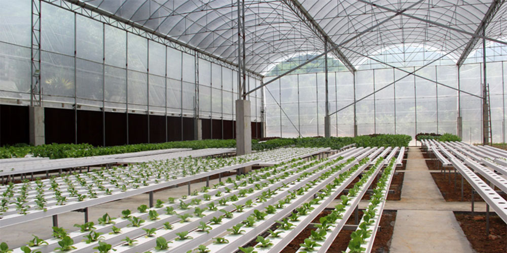 ebb and flow grow system ebb and flow grow system