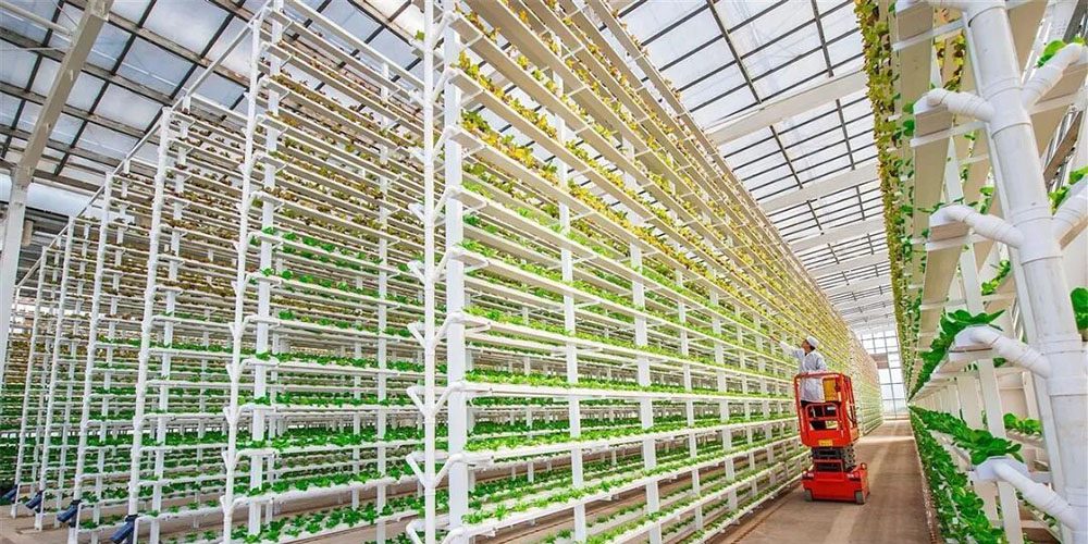 smart hydroponic system smart hydroponic system