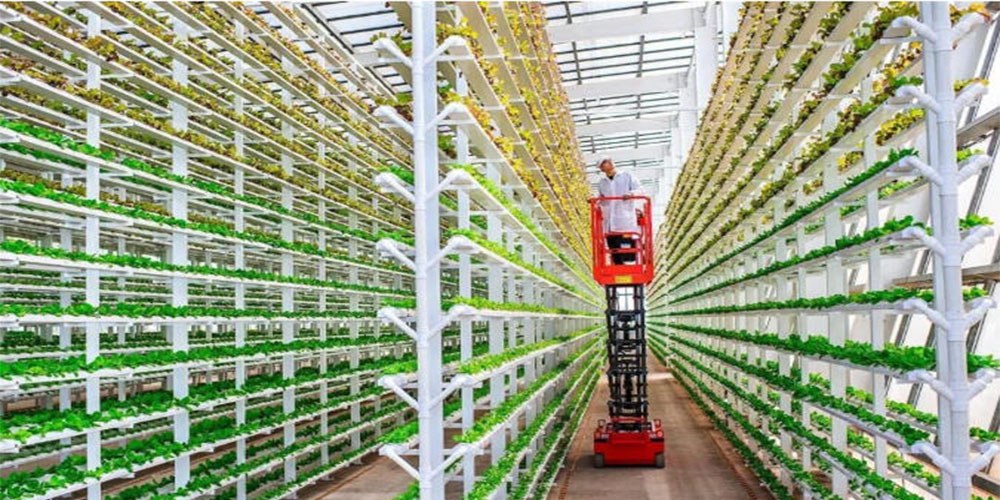 ebb and flow hydroponic system ebb and flow hydroponic system