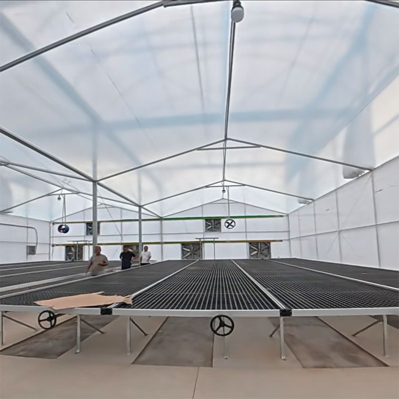 Ebb and Flow and Smart Hydroponic Systems: The Technical Revolution of Precision Irrigation