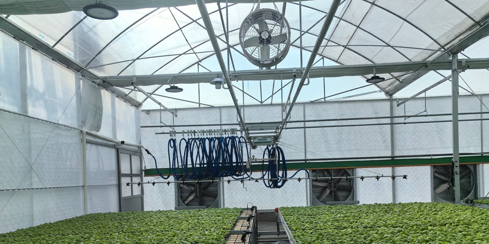 greenhouse exhaust fan greenhouse exhaust fan