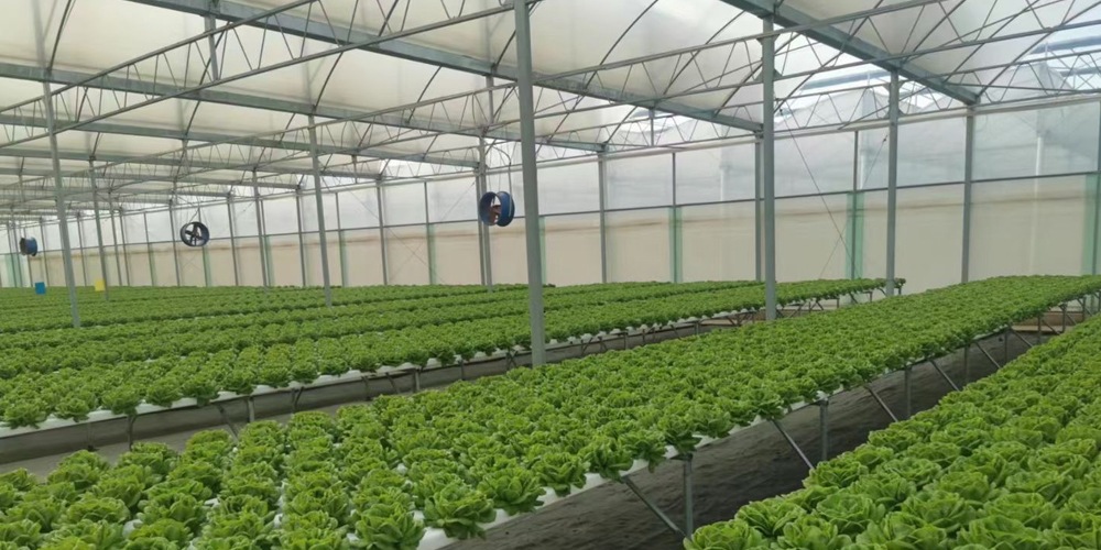 greenhouse circulation fans greenhouse circulation fans