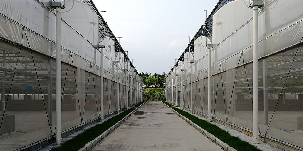 hoop house frame