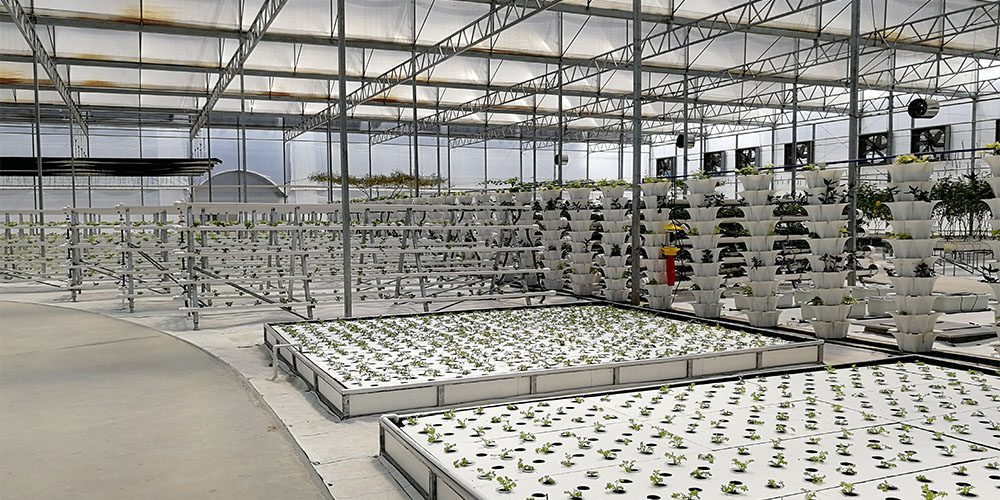 hoop house frame