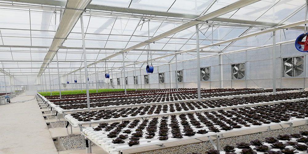 heavy duty greenhouse frame