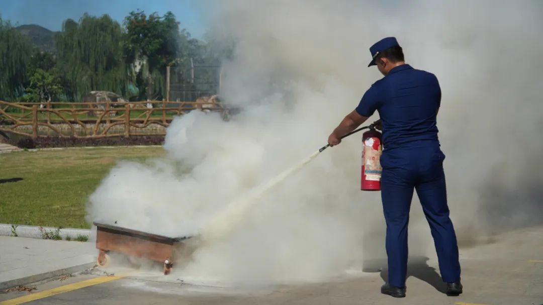 Shower and Bathing Products