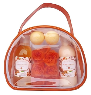 Travel Size Shower Gel Mini Size SLS Free Body Wash for Bath and Body