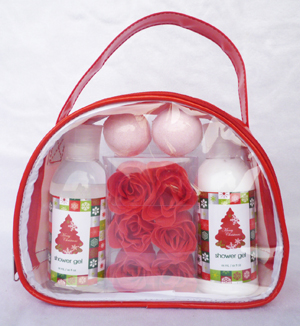 Travel Size Shower Gel Mini Size SLS Free Body Wash for Bath and Body