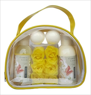 travel size shower gel