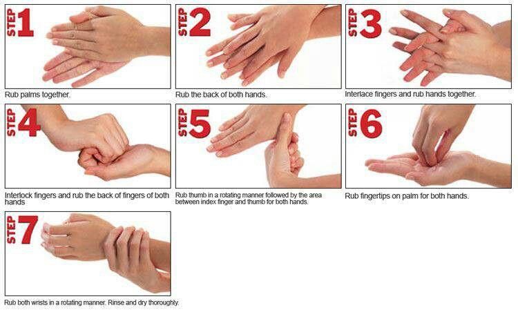7-Step Hand Washing Process
