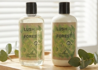Natural Forest Scent Bath Gift Set Shower Gel & Body Lotion Full Body Skincare Kit For Women Men Birthday Present