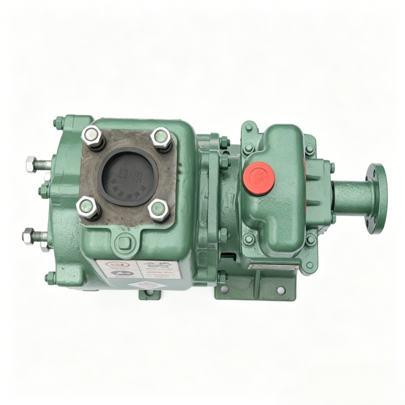 Pompe multifonction auto-amorçante WLONG : pompe centrifuge à haut débit pour camions arroseurs et transfert de carburant (essence/diesel)