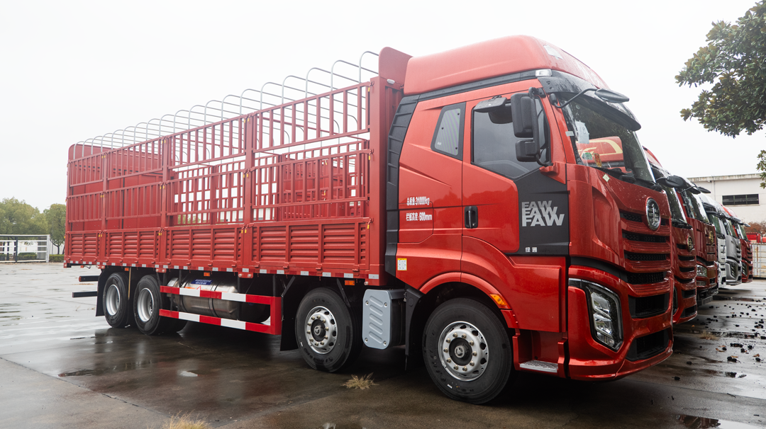 FAW J6V 8×4 Cargo Truck