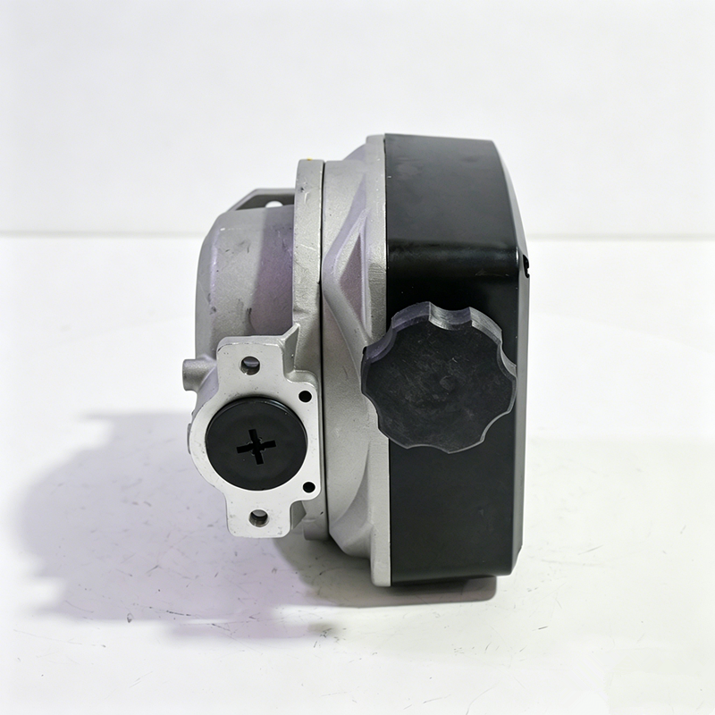 Multifunctional FM-120 Digital Flow Meter, 20-120L/min ±1% Accuracy 4 Digit Diesel Liter Counter, Complete Pump Assembly