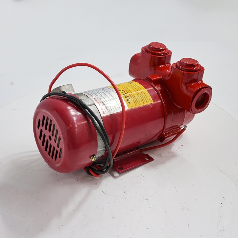 Explosion-proof electric oil pumping pump