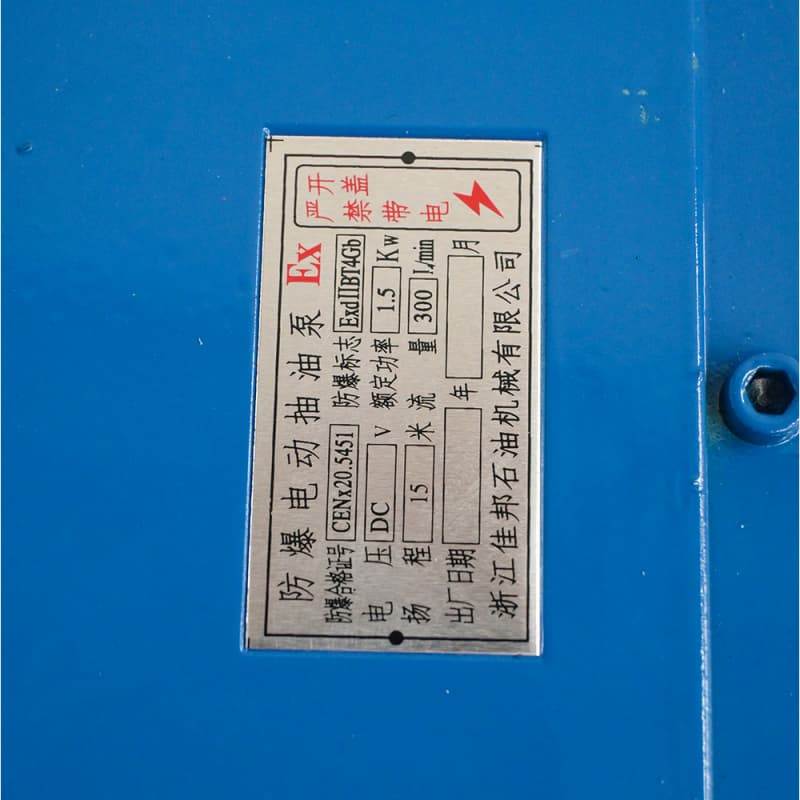 Pompe à huile électrique antidéflagrante DN50 2 pouces, pompe d'alimentation en carburant en fonte 300 L/min, pompe de transfert de carburant antidéflagrante pour camion-citerne