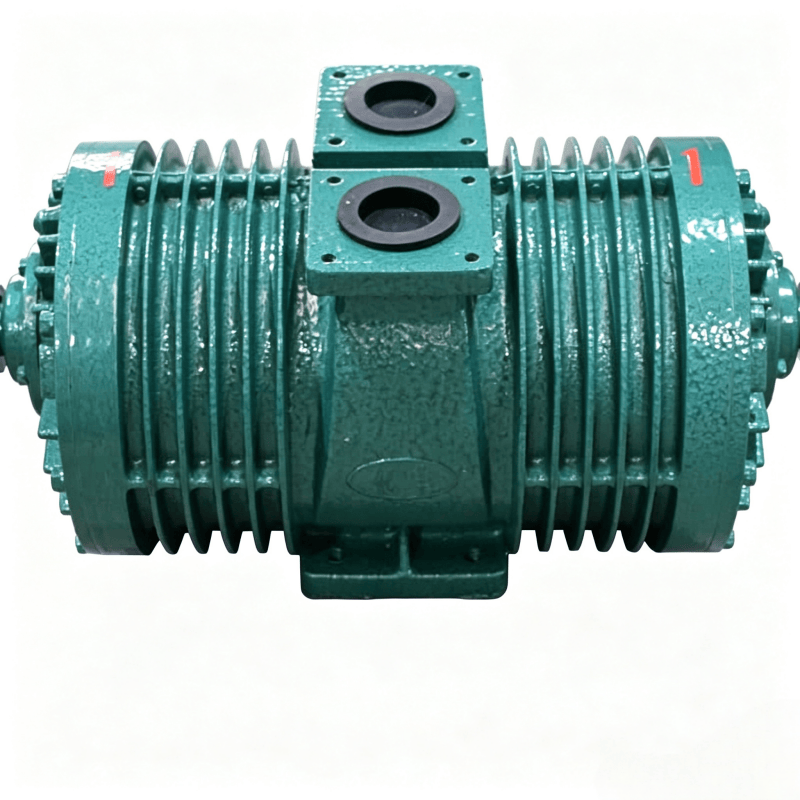 Pompe à vide en fonte pour l'aspiration des matières fécales et du biogaz, 950 tr/min, 52 l/s, raccord à bride, pour camion d'aspiration des eaux usées de 1 à 3 tonnes