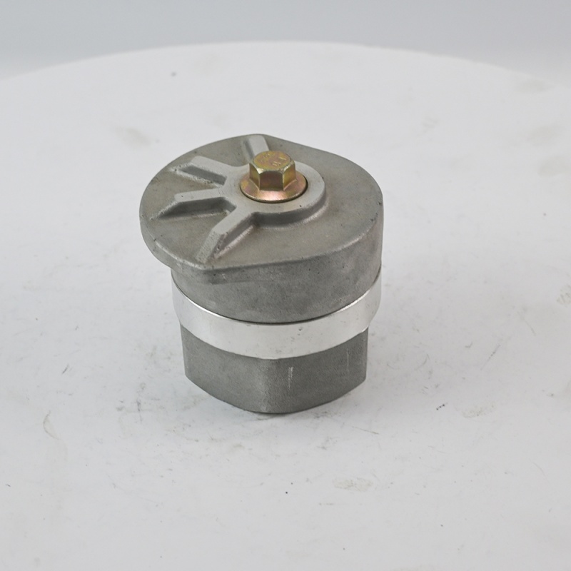Stainless Steel 2pc Vertical Thread Check Valve