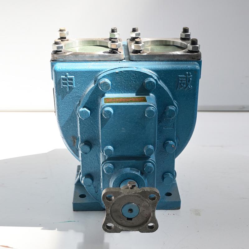 Pompe à carburant rotative en fonte, pompe à huile à engrenages, 960 tr/min, 7,5-22 kW, 40-100 m³/h, pour transfert de carburant dans les camions-citernes et les dépôts pétroliers.