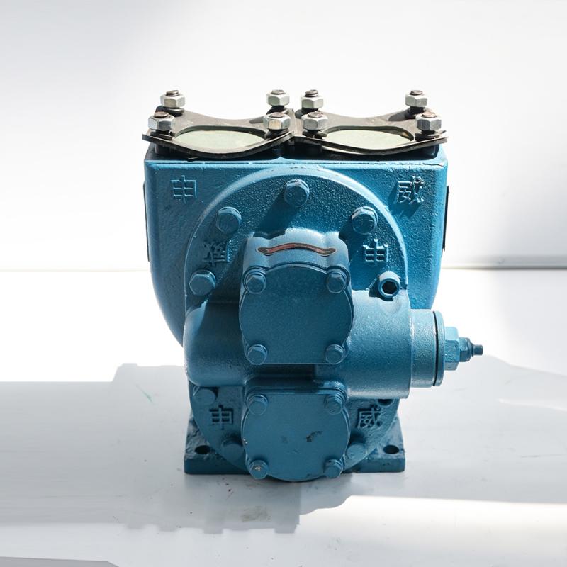 Pompe à carburant rotative en fonte, pompe à huile à engrenages, 960 tr/min, 7,5-22 kW, 40-100 m³/h, pour transfert de carburant dans les camions-citernes et les dépôts pétroliers.